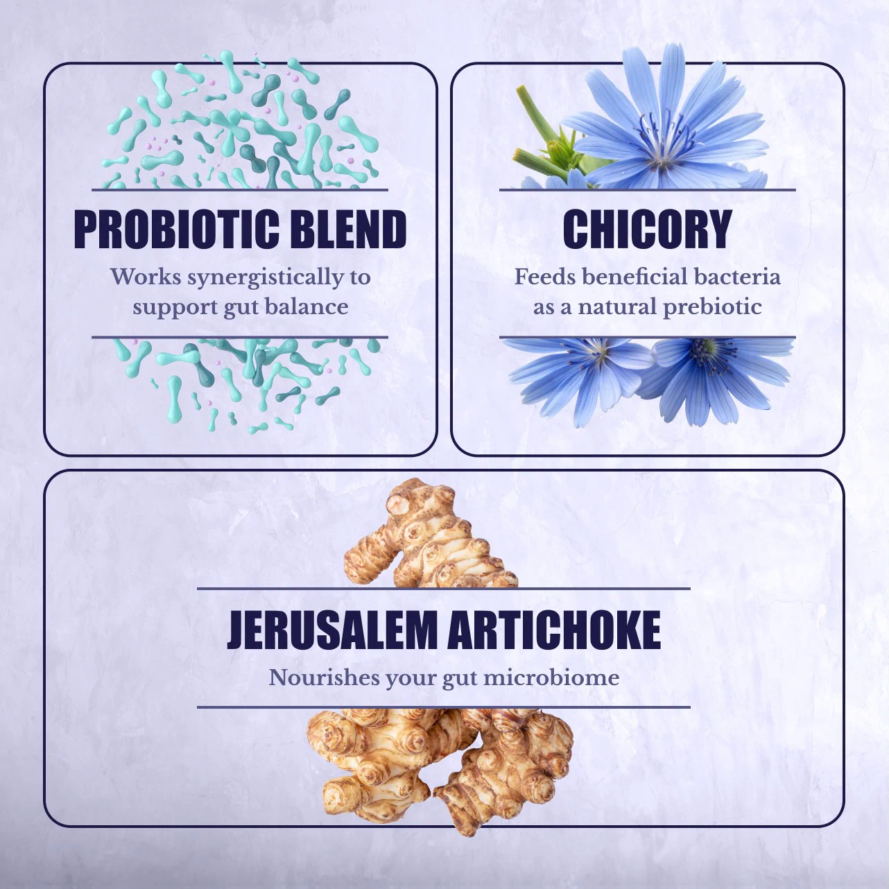 Balance Biotics
