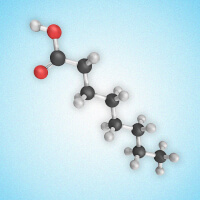 ingredient icon