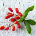 ingredient icon