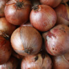 ingredient icon