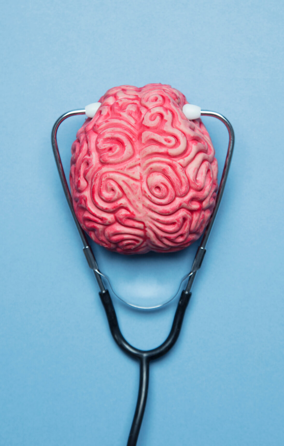 Brain