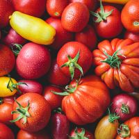 ingredient icon