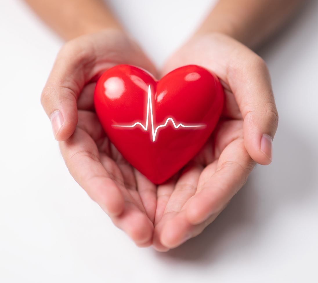 Heart