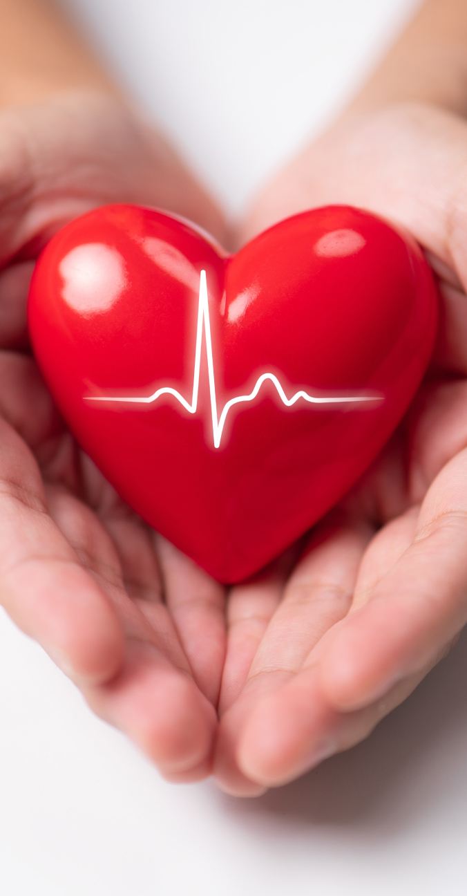Heart