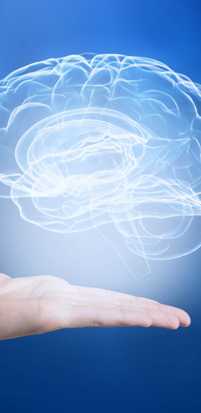 Brain