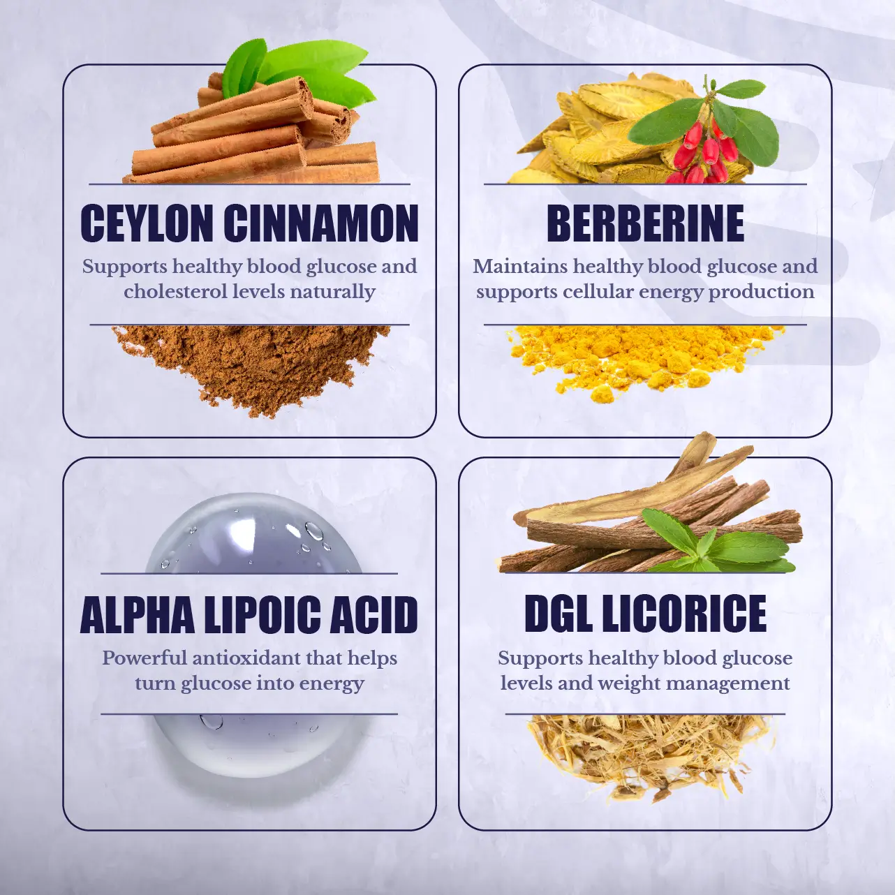 Gluco24