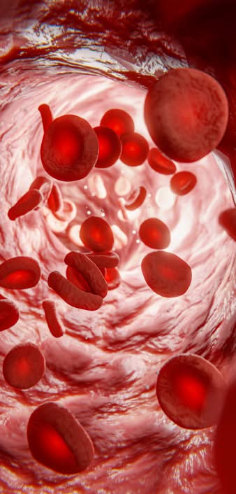 blood flow