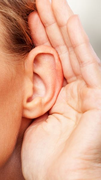 Ear