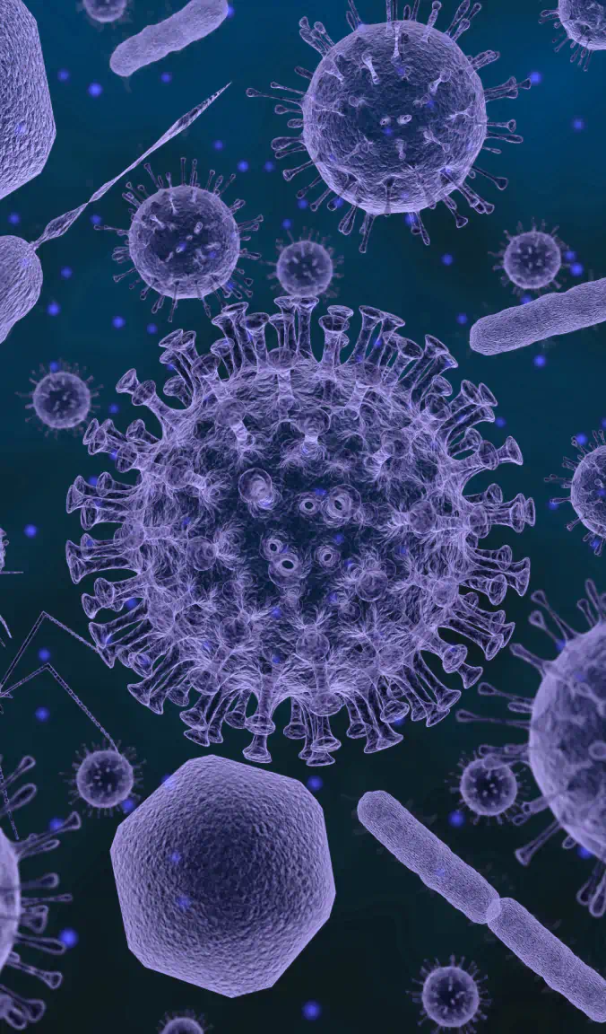 virus