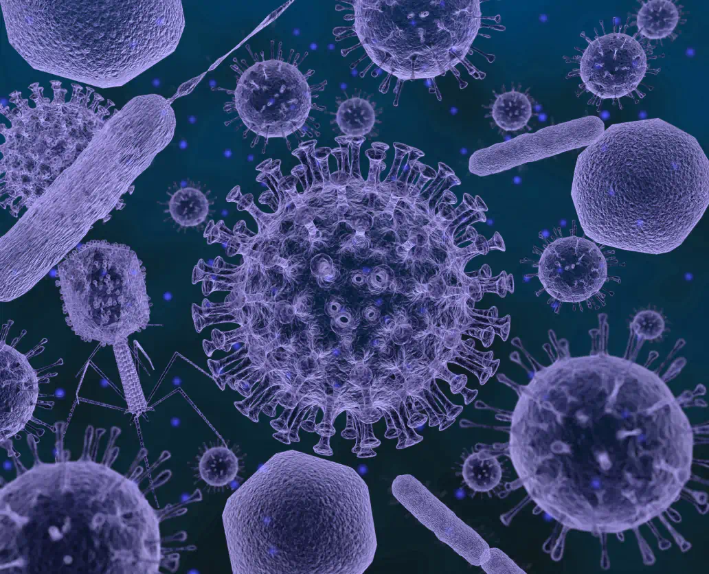 virus