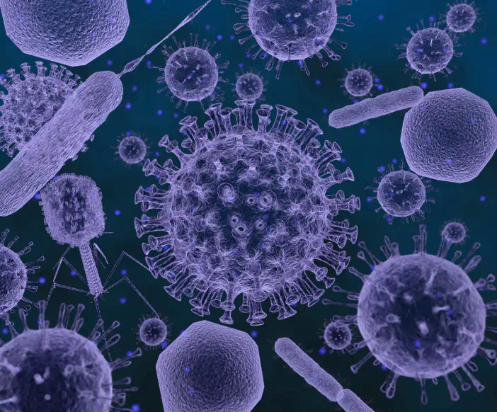 virus