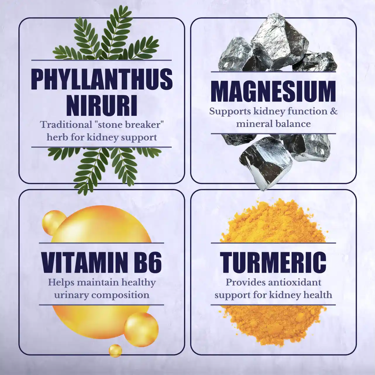 Kidney Vitality