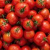 ingredient icon