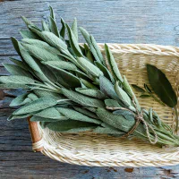 ingredient icon