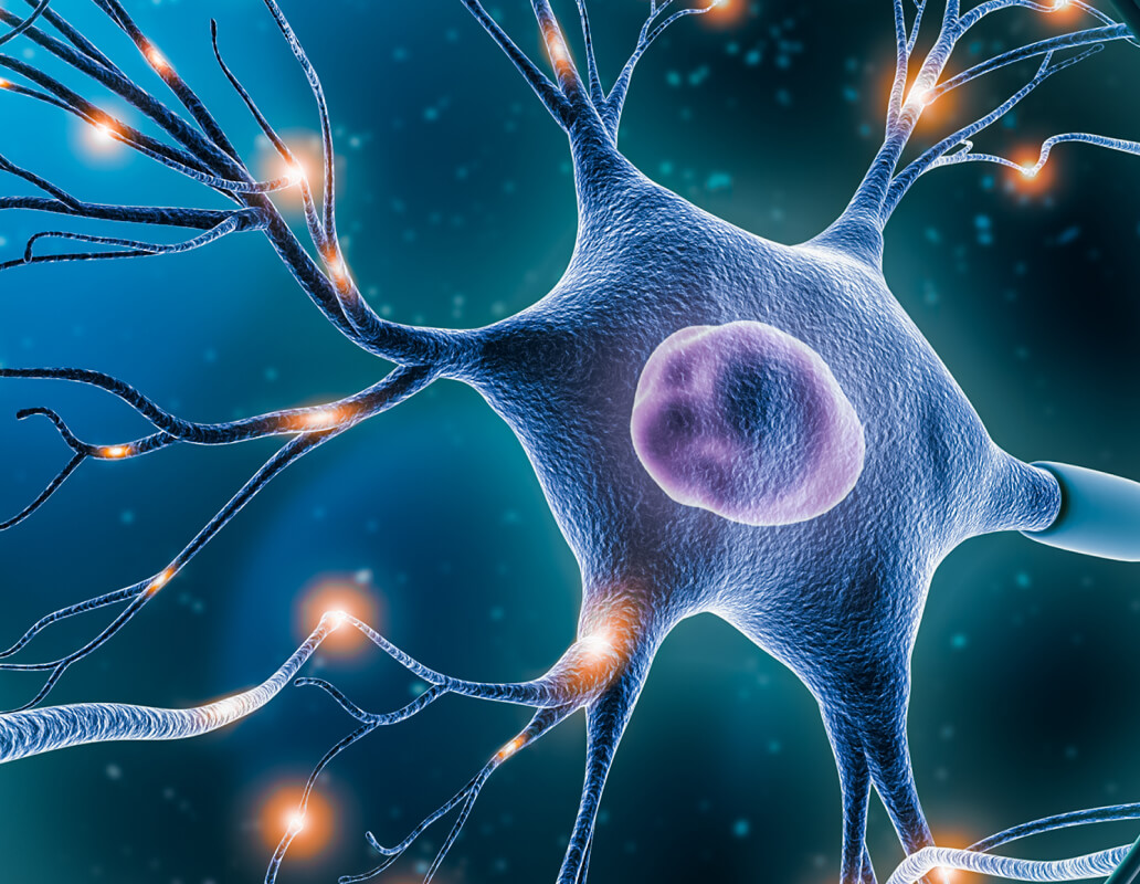 Damaged Neuron