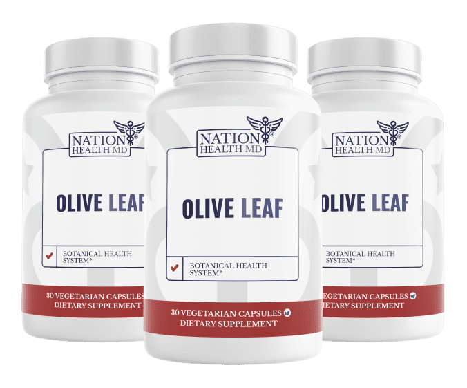 Olive Leaf