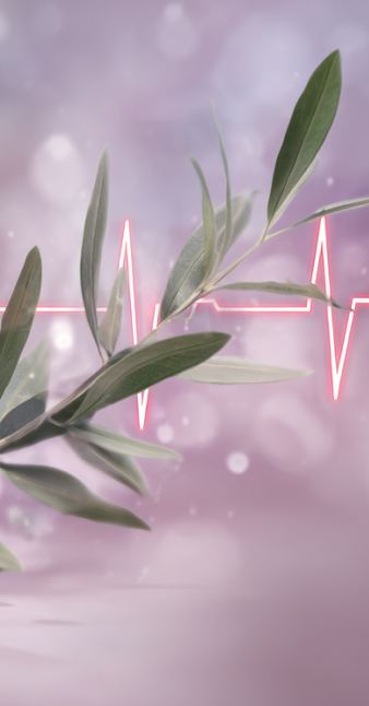 Olive leaf