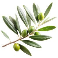 ingredient icon