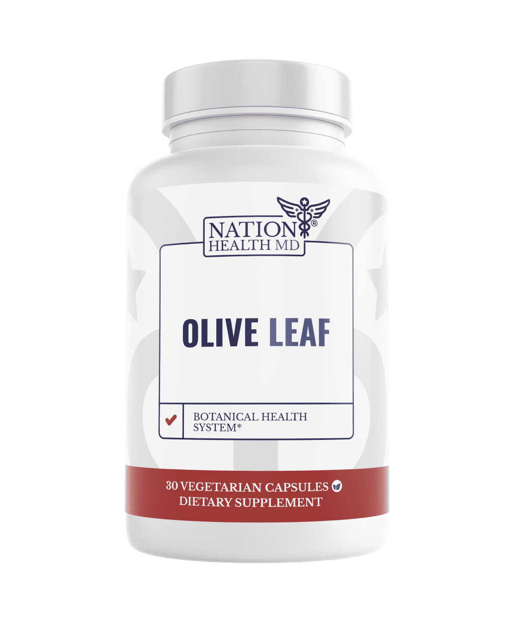 Olive Leaf