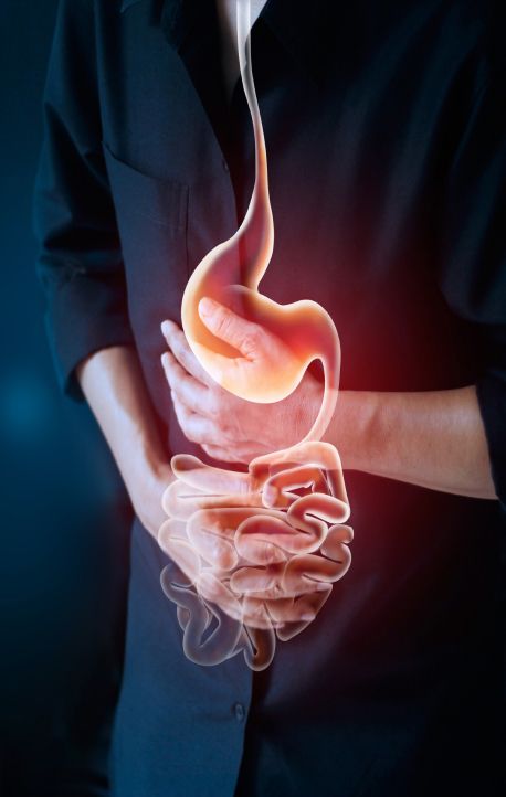 digestive-tract