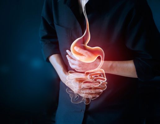 digestive-tract