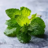 ingredient icon