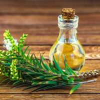 ingredient icon