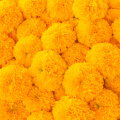 ingredient icon